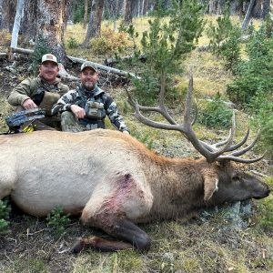 Sns Wilderness Bull Elk Wyoming 2025 7
